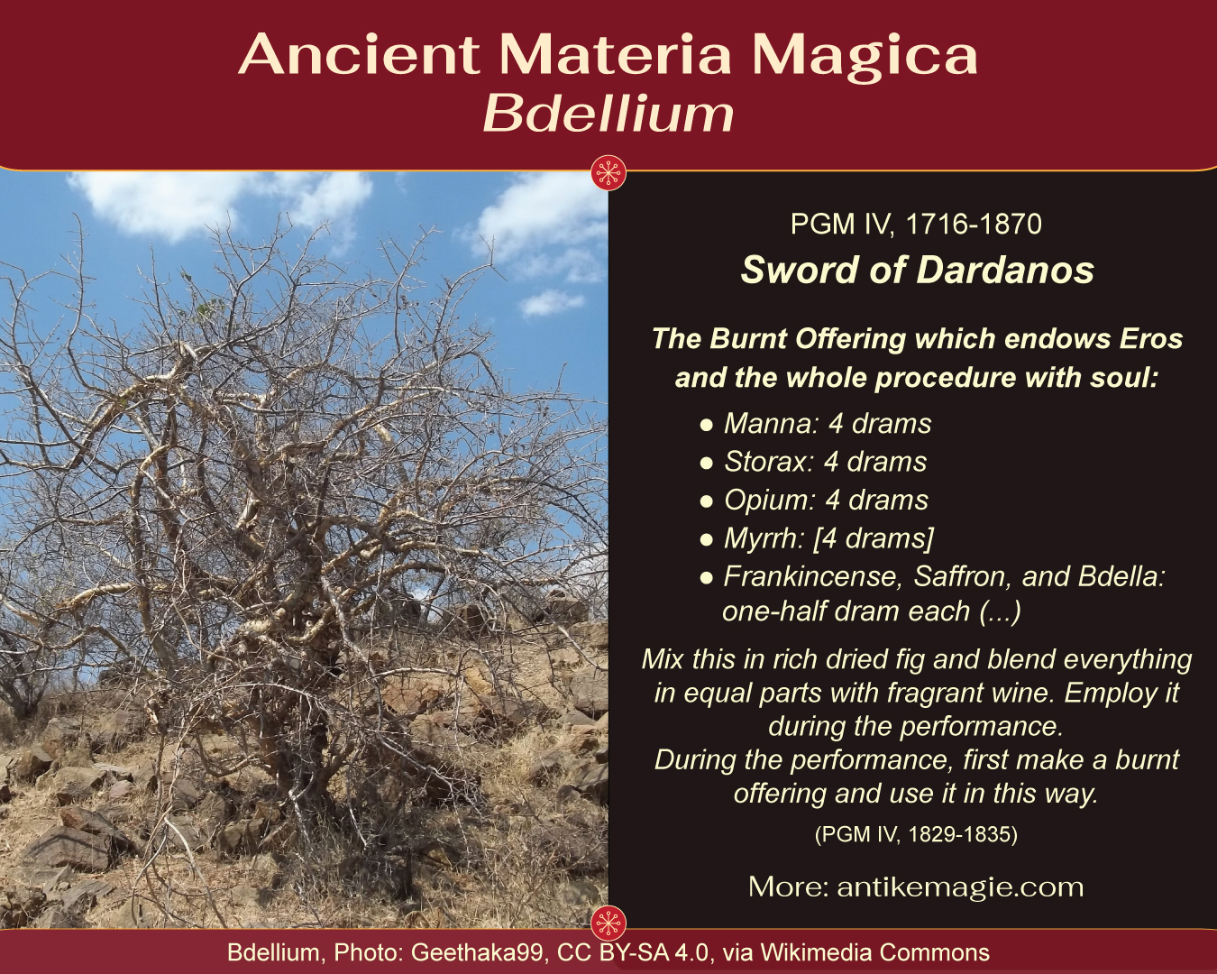 Ancient Materia Magica - Bdellium. Photo: Geethaka99, CC BY-SA 4.0, via Wikimedia Commons. Infographik: KD Dzwiza, CC BY-SA 4.0